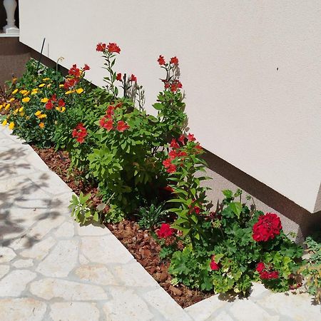 Apartments Juric Privlaka  Exterior foto