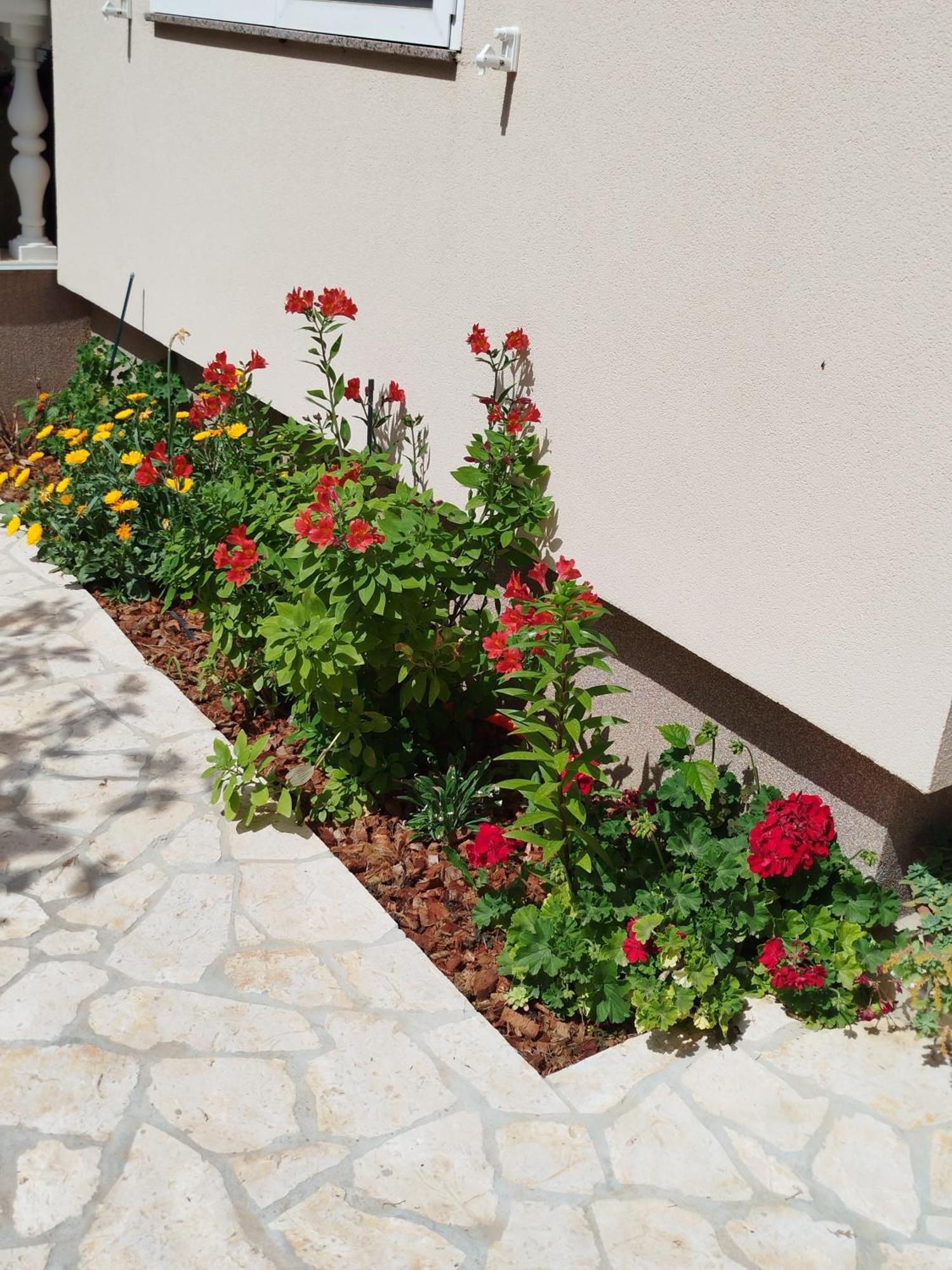 Apartments Juric Privlaka  Exterior foto